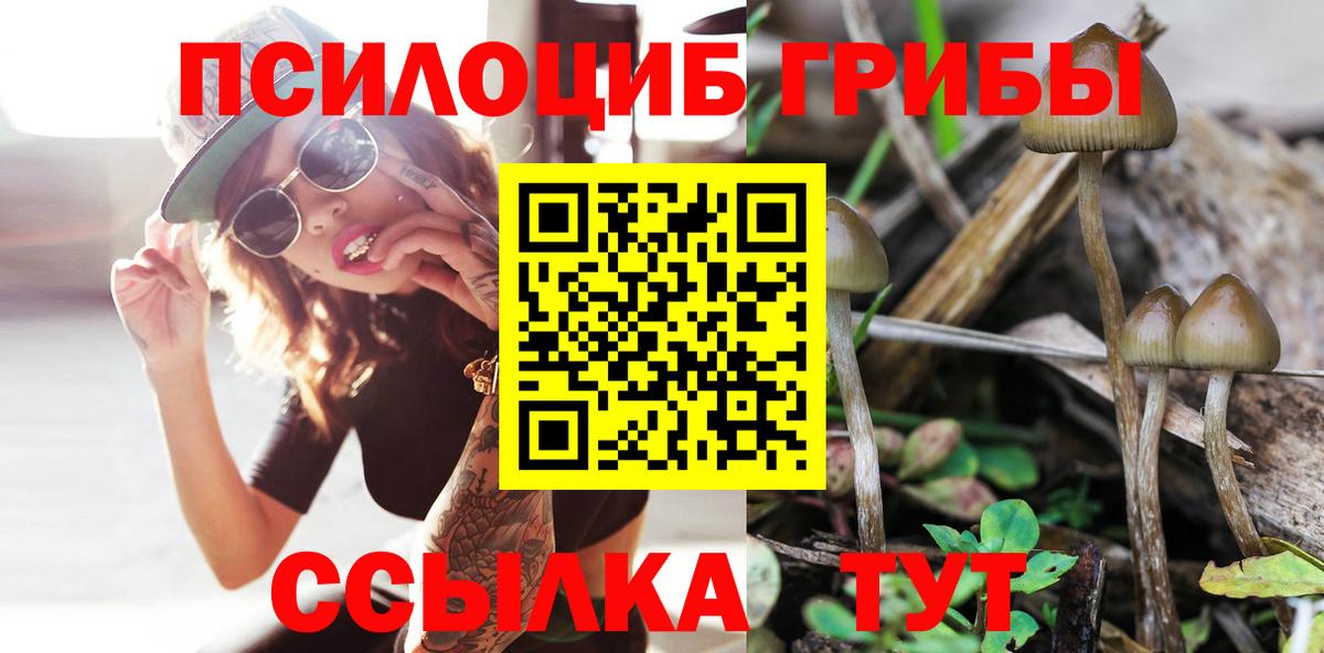 цены наркотик  Вход с VPN  Псилоцибиновые грибы Magic Shrooms  Большой Камень  Псилоцибиновые грибы Magic Shrooms 